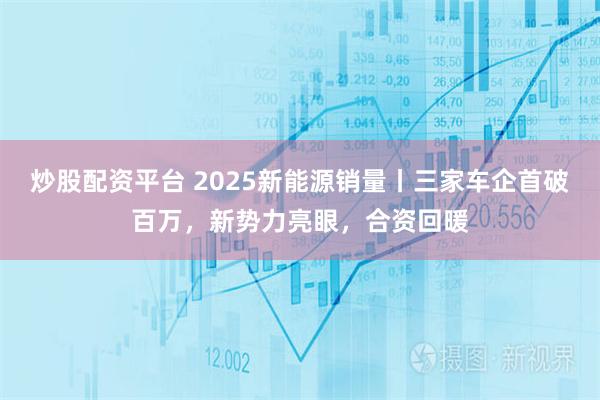 炒股配资平台 2025新能源销量丨三家车企首破百万，新势力亮眼，合资回暖