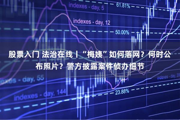 股票入门 法治在线丨“梅姨”如何落网？何时公布照片？警方披露案件侦办细节